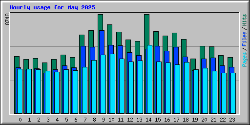 Hourly usage for May 2025