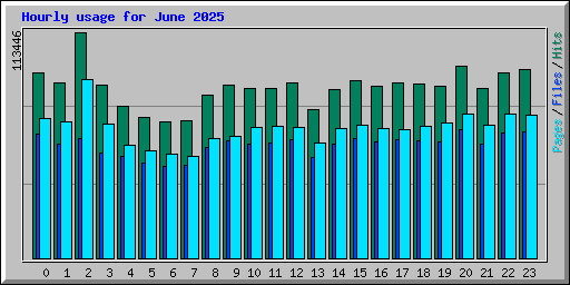 Hourly usage for June 2025