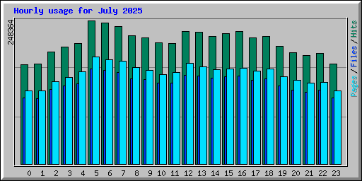 Hourly usage for July 2025