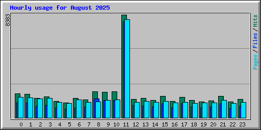 Hourly usage for August 2025
