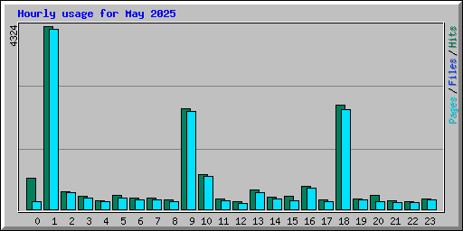 Hourly usage for May 2025